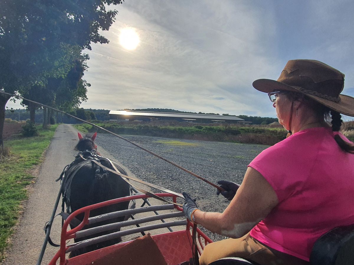 Auszeit in der Natur bei Abendsonne in Nordhessen